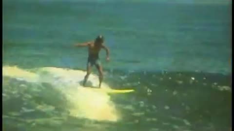 HISTORY OF 'THE KING OF PAVONES'
