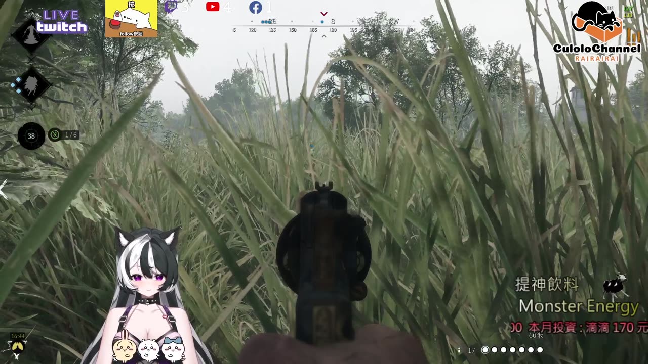 🌱vs🧟‍♀️ New version⭐新手向⭐🥺倉鼠系玩家🥺| 來聊天R ✨💎(๑˃̵ᴗ˂̵)و Culolo Channel(๑˃̵ᴗ˂̵)و 5 Taiwan優質台💎✨