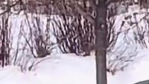 3-1/2 Min video of captures the tense moments leading up to an ICE agent fir*ng at Renee Good