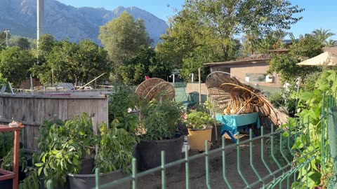 Elamir Resort Kemer (Health Review)