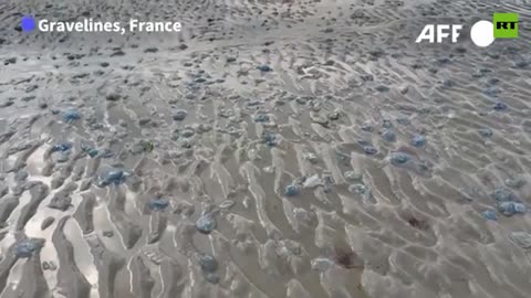 FRENCH nuclear plant offlin