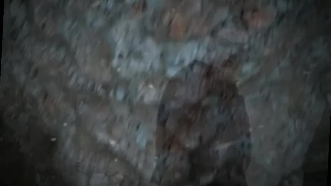 Final Vampire Battle 🩸 The Twilight Saga | Volturi vs Cullen Clan Epic Scene