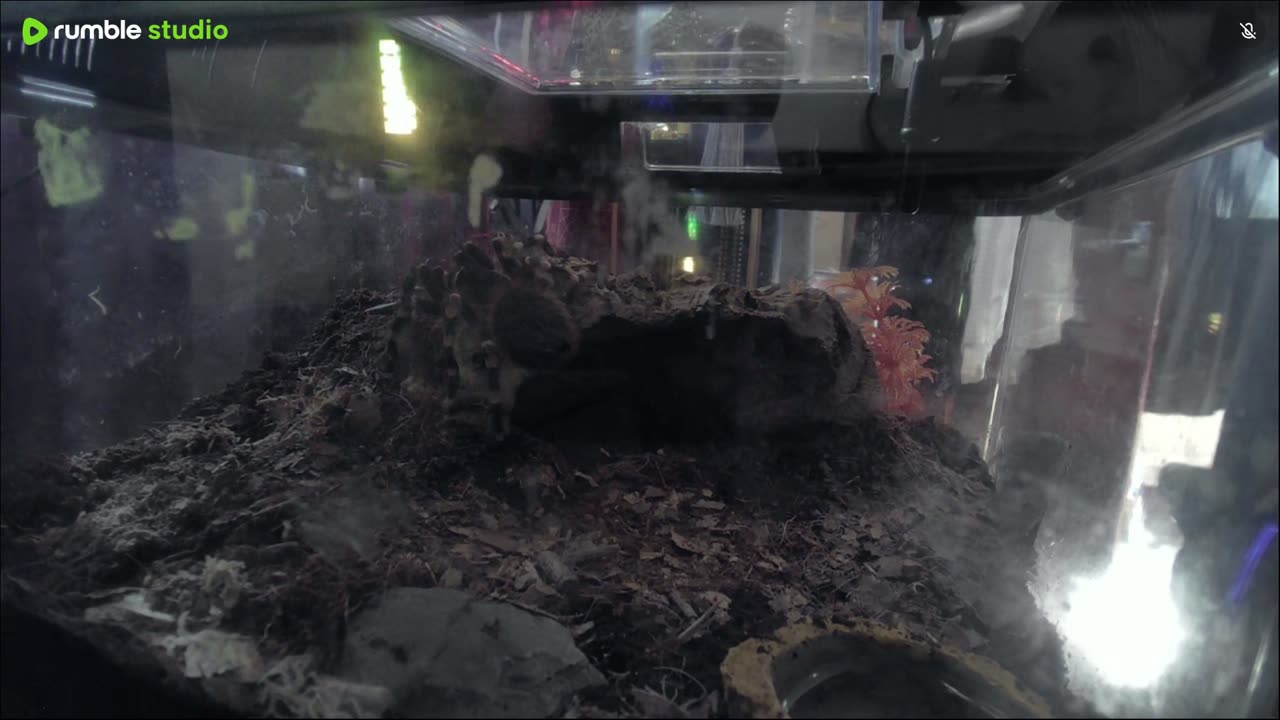 giant white knee just hanging out