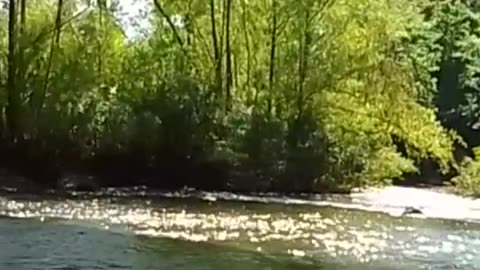 Bajo el agua en Paso del Bote, Tacuarembó (29/11/2025)