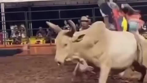 Oopsy!
