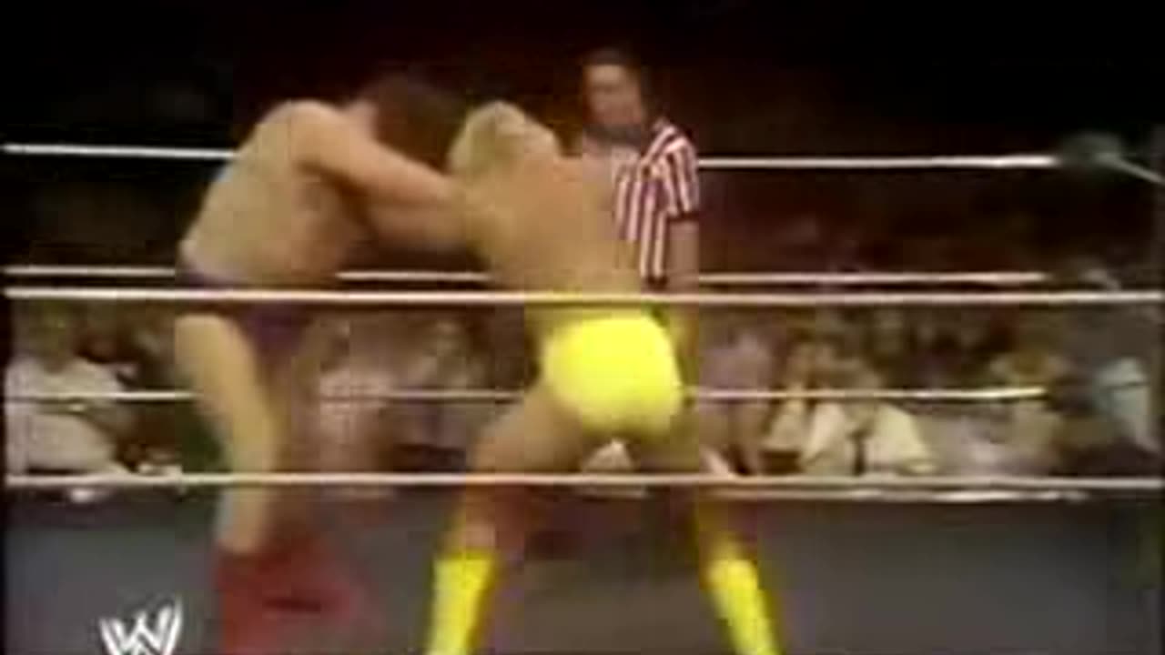 9-13-80 WWF Championship Wrestling