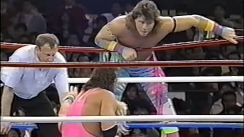 (1991.03.30) Hart Foundation vs The Rockers - SWS/WWF Wrestlefest