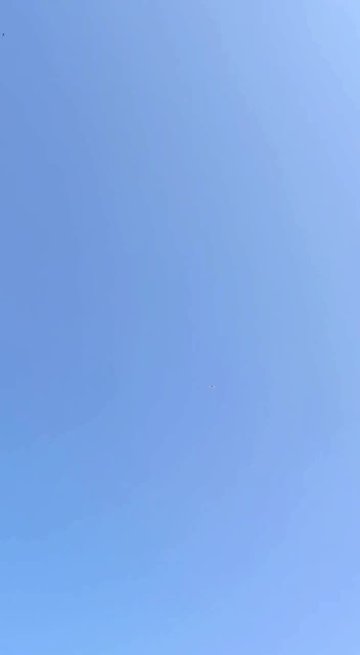 Chuvashia 🦅🦅🦅