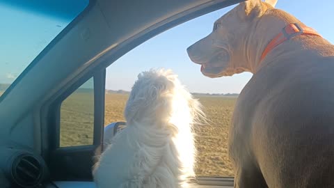 PSA Metric for Success: a Point in the Right Direction