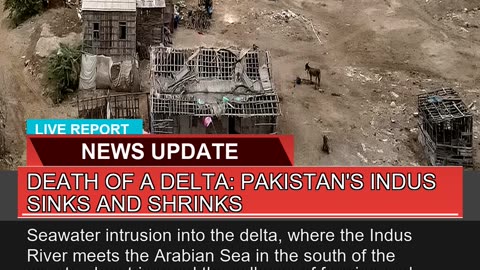 Death of a Delta Pakistans Indus Sinks and Shrin