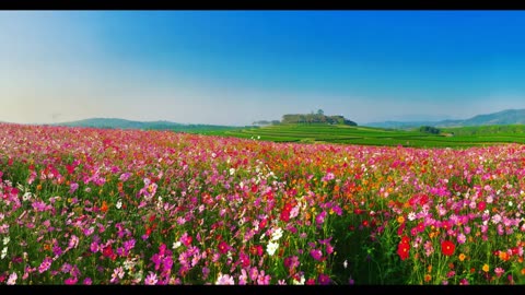 Lord Winter - Utopia