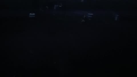 Lil1 is reactive to greyhounds due 2 one coming 4 face offs