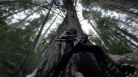 WERWÖLFE - Volfgang Twins (Germanic Tribal Metal)