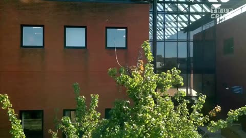 TIKTOK - MORDERSTWO NA OCZACH ŚWIATA 1 dokument pl