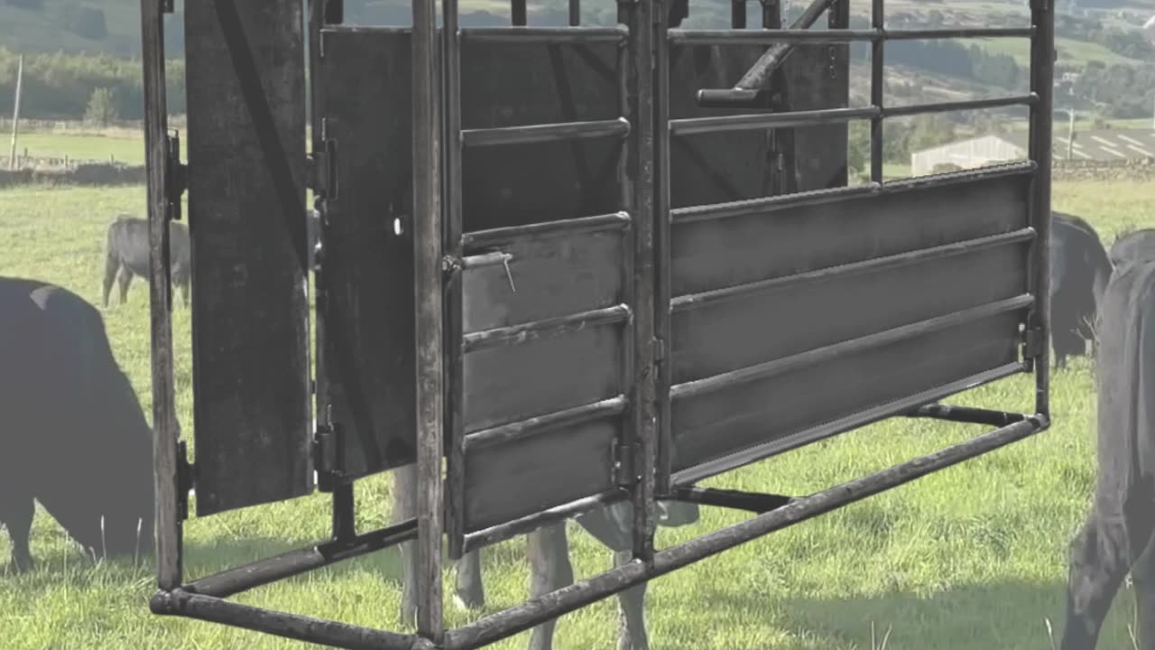 American-Made Adjustable Alleyway