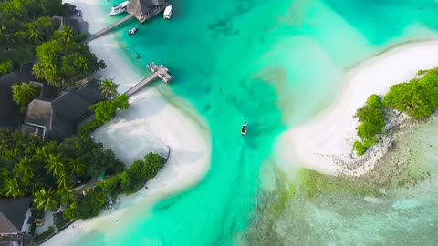 Amazing Beauty Of Nature