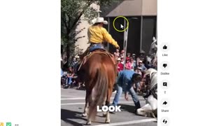 2025 Calgary Stampede Parade Horses Fall & Get In Trouble - Why?