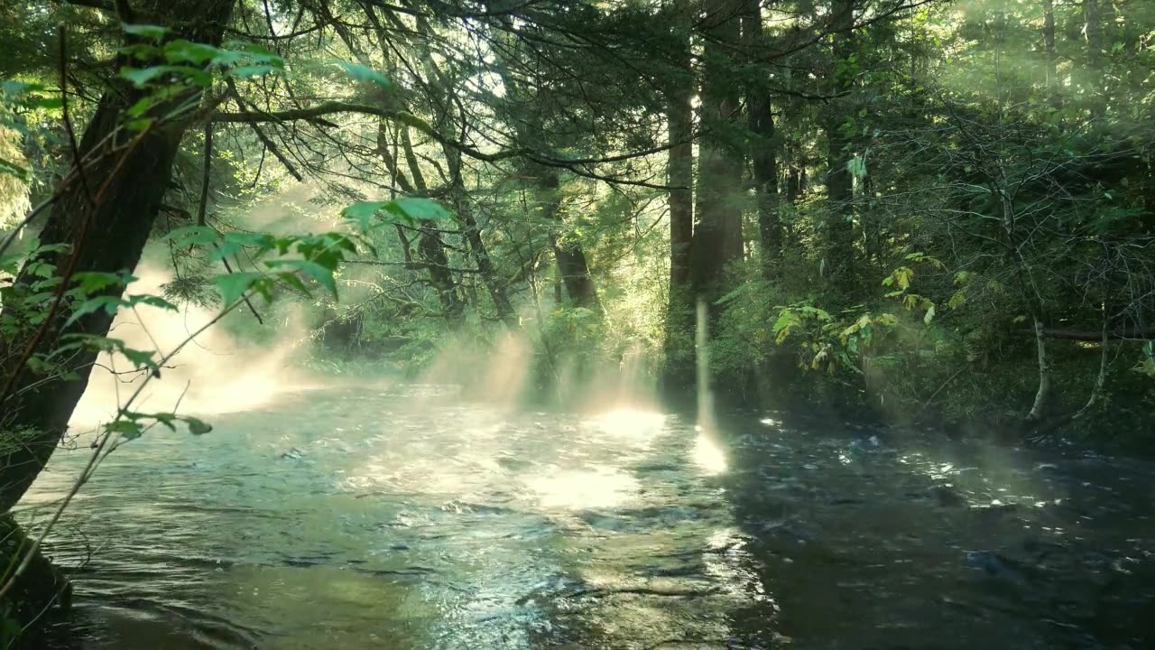 You're || mp3-relaxing,chill&waasmusic