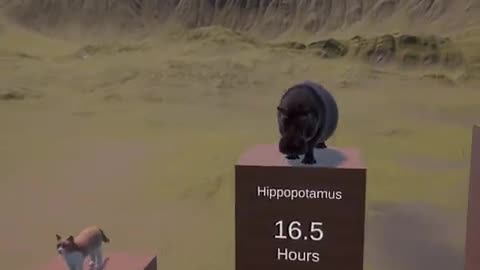 HOW LONG DO ANIMALS SLEEP
