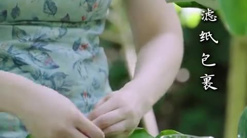Making tea from lotus flowers