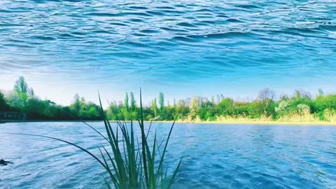 Instantly enjoy the sound of water to sleep comfortably #stressrelief #sleep #watersounds