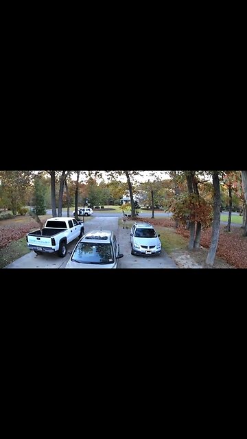 He just watched the original space jam