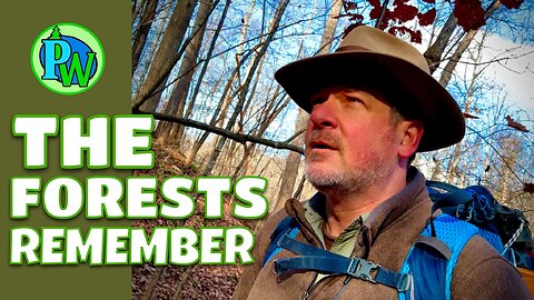 Solo Survival in Lonesome Holler | Appalachia’s Nameless Forest - Part 4: Forest Whispers Home