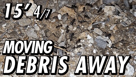 ASMR | Ants working under a richly varied symphony of city sounds at night - 15' 4/7