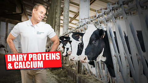 The Truth About Dairy Proteins & Calcium | The Microbiome Expert