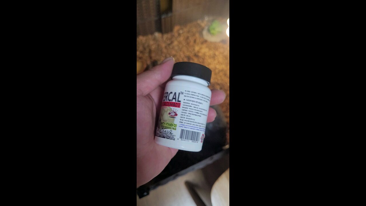 calcium for a tortoise