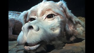 Nothing Is Lost... Everything Is Transformed: "The Neverending Story" (#254)