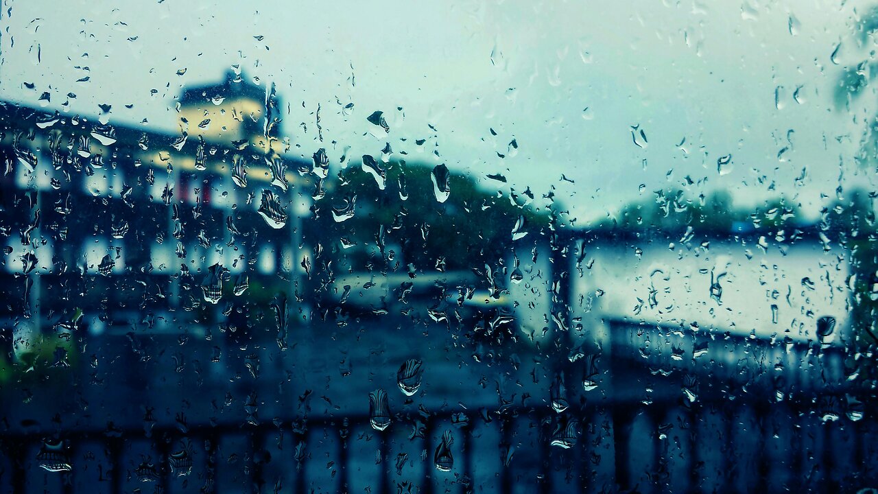 Rain by Jaime David