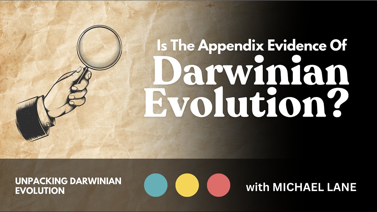 Is The Appendix Evidence Of Darwinian Evolution? | Unpacking Darwinian Evolution 3/4