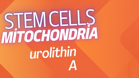 stem cells, mitochondria, urolithin A