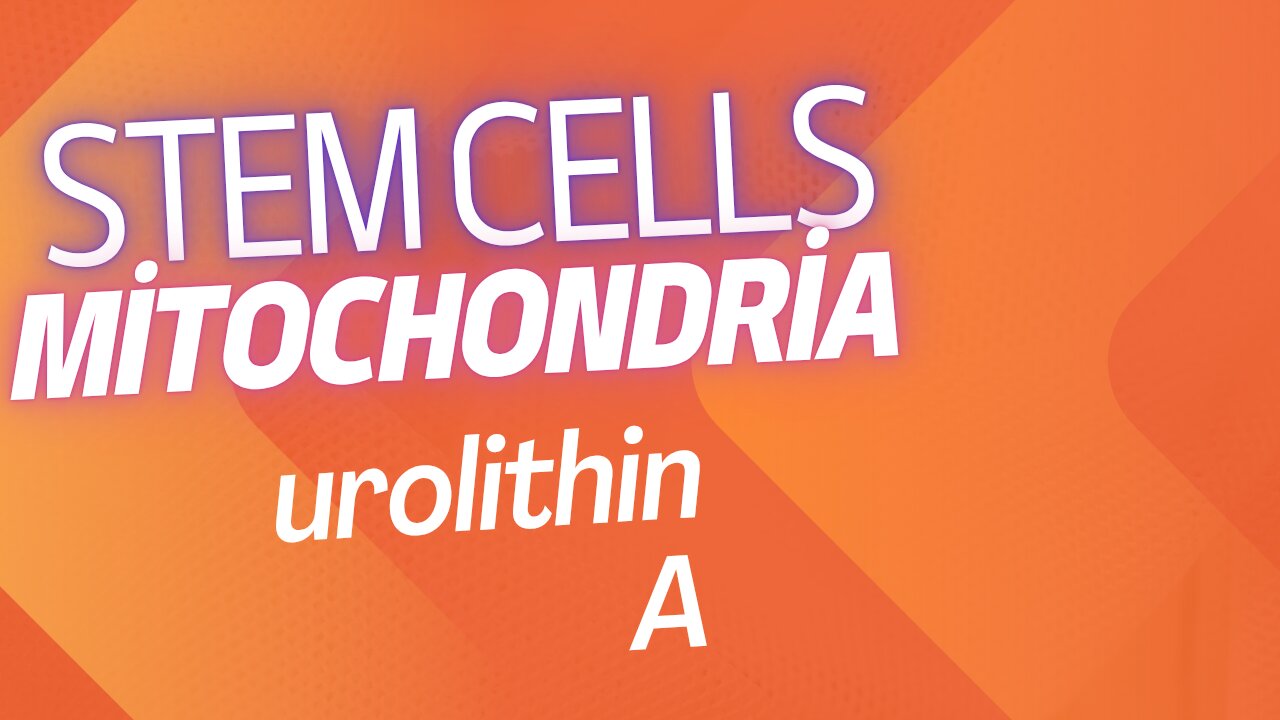 stem cells, mitochondria, urolithin A