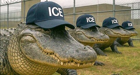 A Look Into "Alligator Alcatraz" In Florida Built for Illegals- Also Pres Trump Stopping By