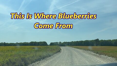 Riding The Barrens