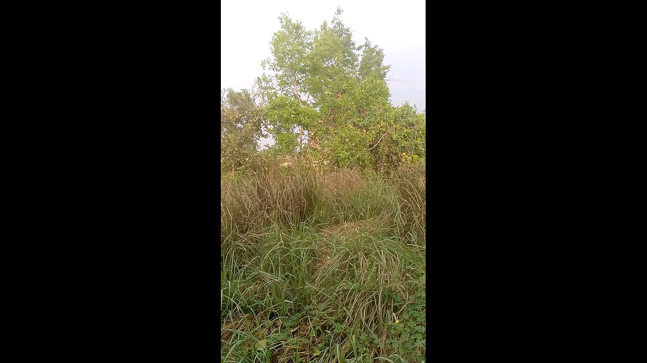 railway news video