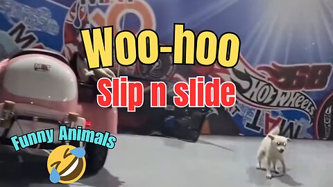 Woo-Hoo slip n slide