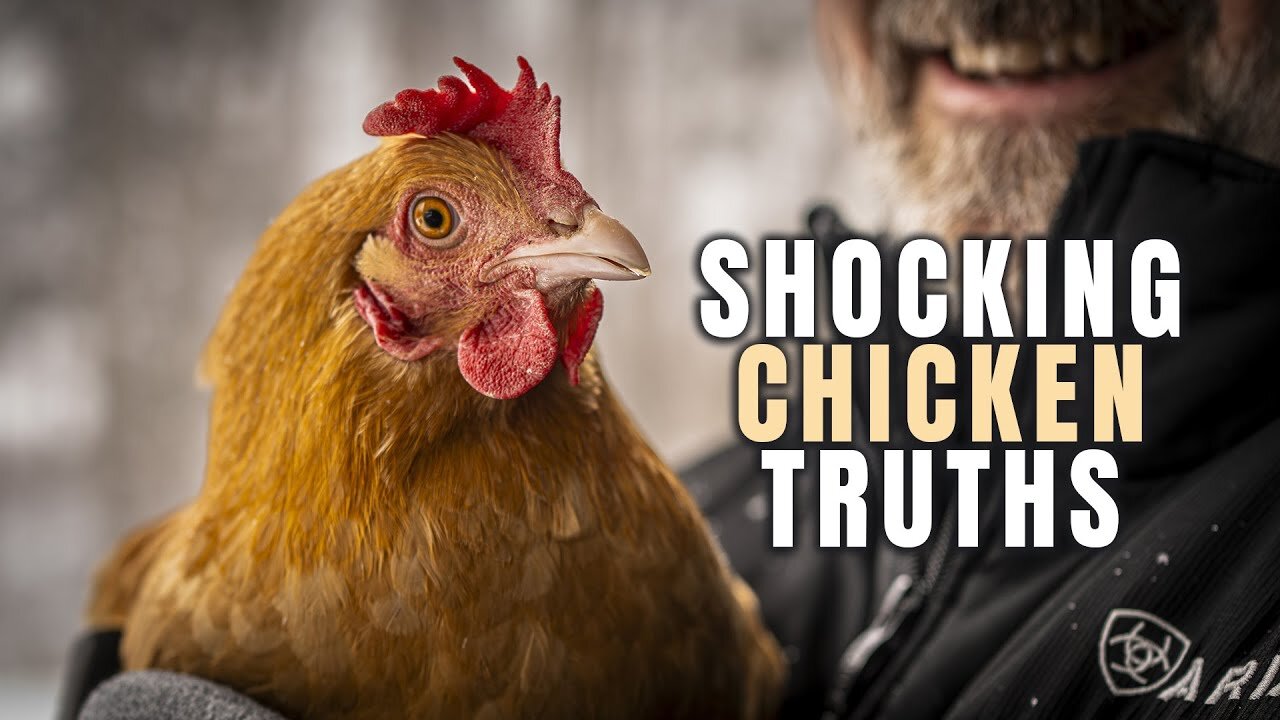 Want to Raise Chickens? Watch This 1st!