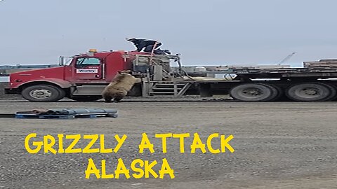 SHOCKING grizzly attack on workers in ALASKA