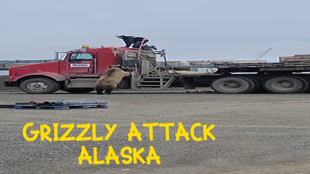SHOCKING grizzly attack on workers in ALASKA