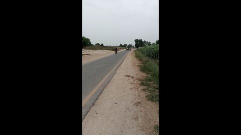 road vedio and dunky
