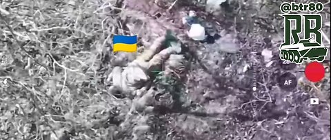 Ukrainian soldiers from the 425th regiment met their death in a forest plantation