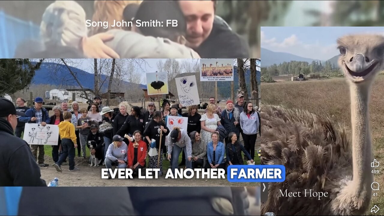 The Farmer's Song: Tribute to Universal Ostrich Dave, Karen, Katie & Whole Family | Stand on Guard