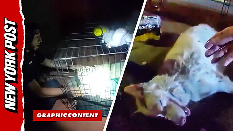Hero Cop Brings Dog Back to Life After Saving it From House Fire