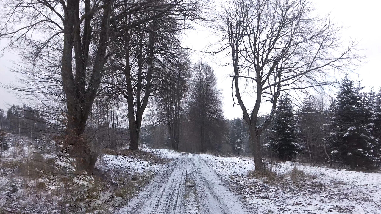 First Snow | Snow Is Falling Ambience ASMR