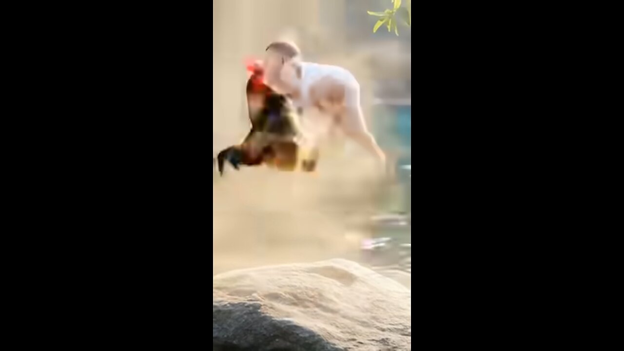 Ai generated video look like real | baby boy fighting with rooster #ai #cute #foryou #shorts