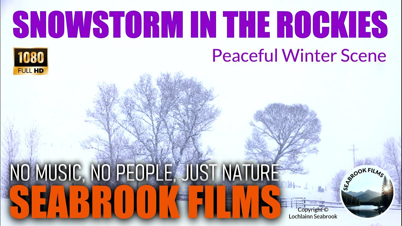 Snowstorm in the Rockies