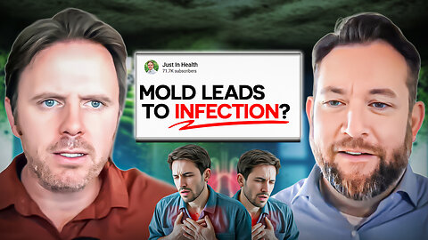Mold Mycotoxins and Chronic Inflammation What To Do